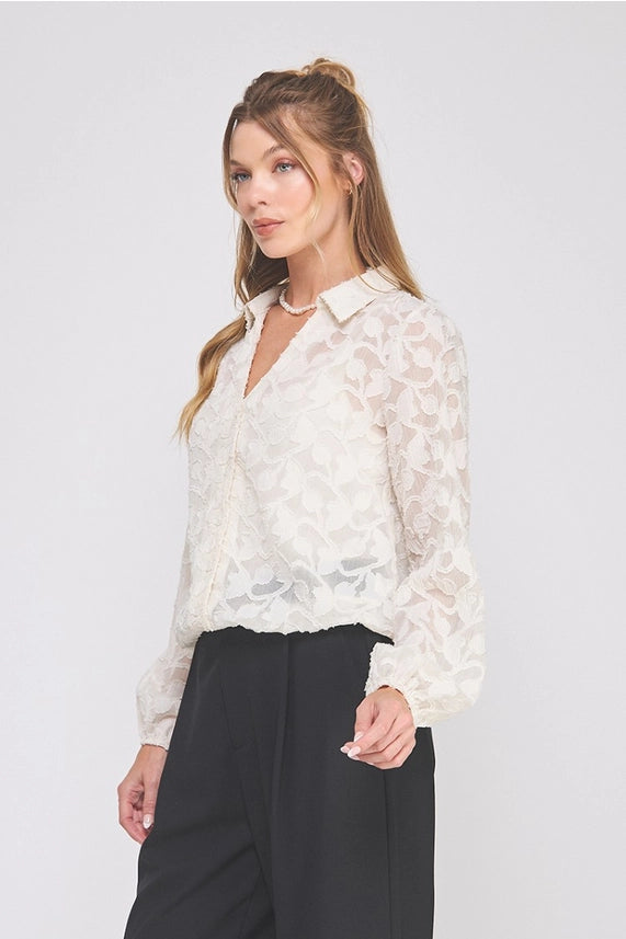 Jacquard Burnout Button Up Long Sleeve Blouse - 606River