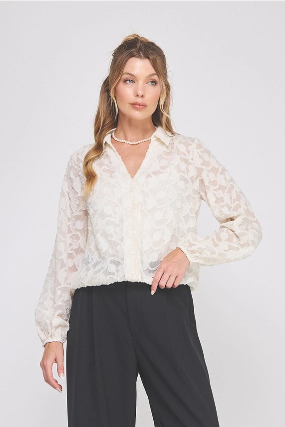 Jacquard Burnout Button Up Long Sleeve Blouse - 606River
