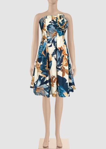 Marishenka Printed Cotton Dress